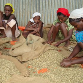 Face aux exigences légales et sociétales, découvrez comment éviter 3 erreurs majeures dans votre devoir de vigilance en droits humains