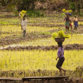 Ksapa conçoit et déploie des fonds d'impact ESG générant des rendements financiers et des résultats ODD mesurables