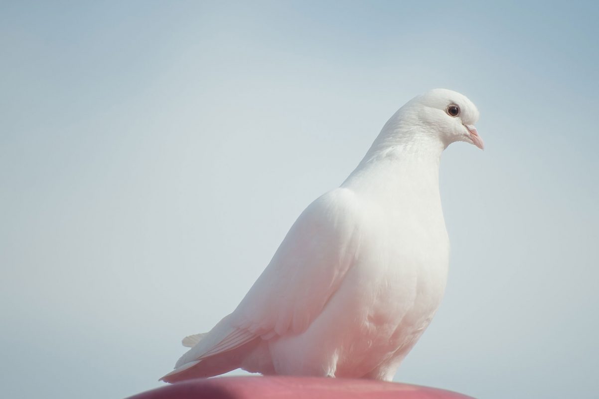 Newsletter ESG Ksapa : Créer de la Valeur Durable et Résiliente