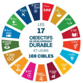 ODD-Washing : 5 clés pour un engagement crédible