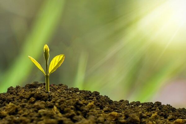Découvrez comment la comptabilité triple capital change le reporting ESG en intégrant les valeurs financières, sociales et environnementales
