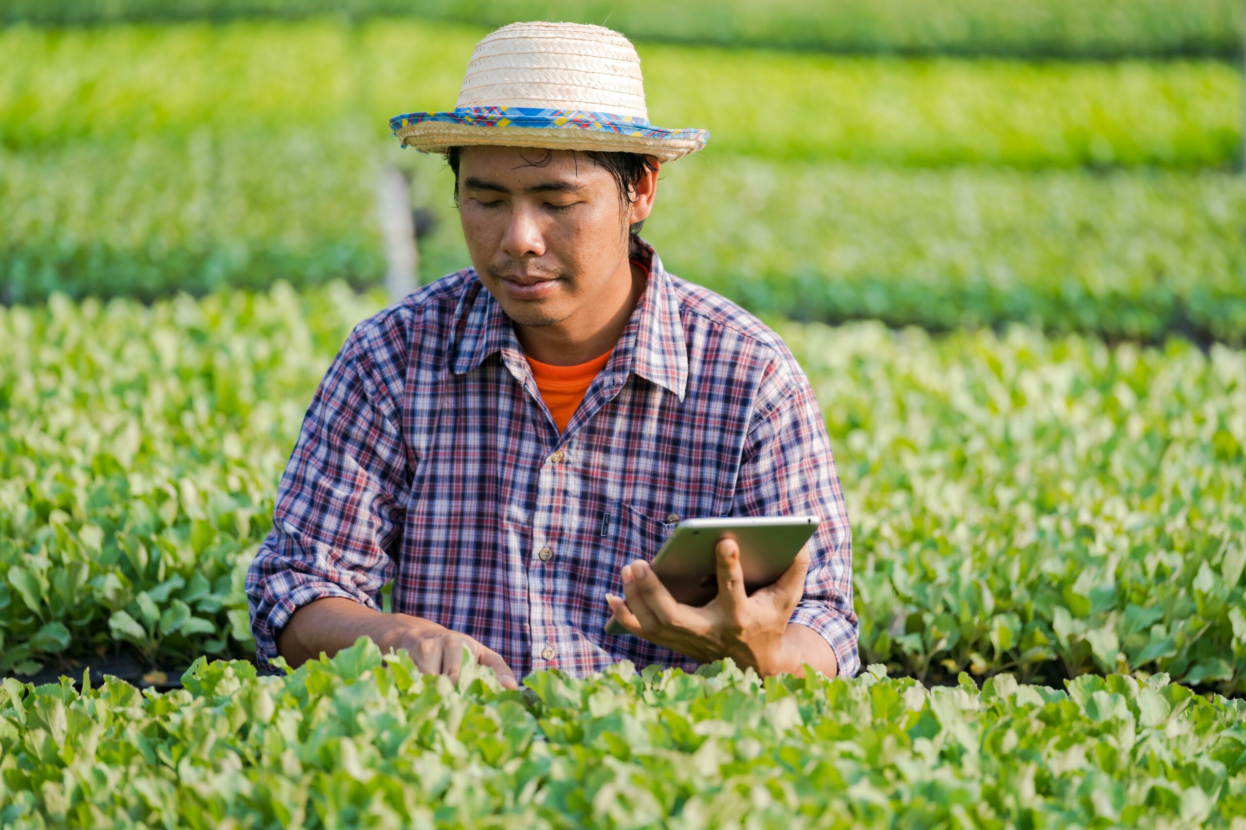 Webinaire : Outils Numériques pour la Transition Agricole