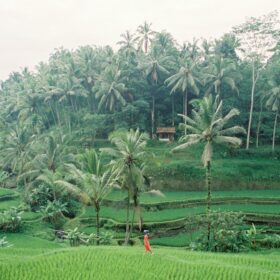 Géopolitique, vieillissement agricole et dérèglement climatique fragilisent les approvisionnements agricoles. Sutti: solution concrète..