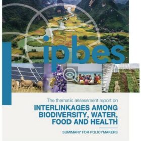 L'IPBES révèle une crise systémique entre alimentation, santé et biodiversité. Solutions biodiversité intégrées urgentes pour notre avenir