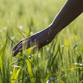 Les petit·e·s exploitant·e·s représentent une opportunité d’impact pour toute la chaîne de valeur agricole