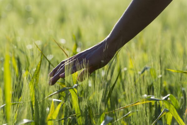 Les petit·e·s exploitant·e·s représentent une opportunité d’impact pour toute la chaîne de valeur agricole