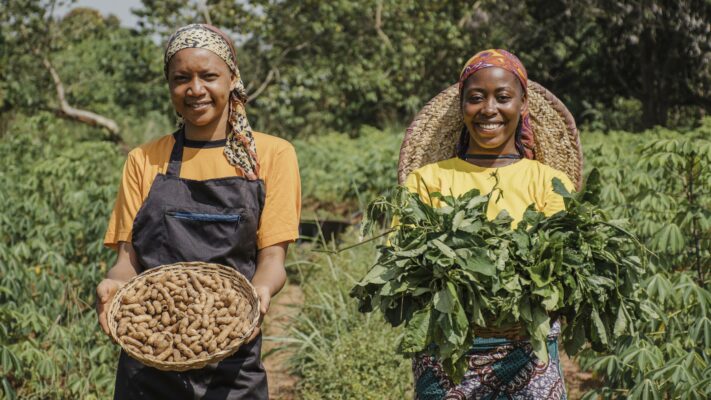 Explorez l’état du marché et les besoins de financement liés à l’inclusion financière des coopératives agricoles et des PME en Afrique.
