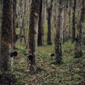 Impacts qualitatifs sur la supply chain du caoutchouc naturel