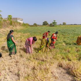 Les femmes sont les premières victimes du changement climatique et amplifie des inégalités. Découvrez des solutions pour agir.
