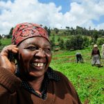 Discover how 6 digital tools are transforming commodity supply chains. A practical guide to implementation, training & success