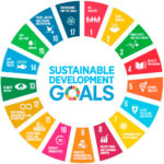 Learn how to authentically align your business with SDGs through five essential questions that expose and prevent greenwashing practices