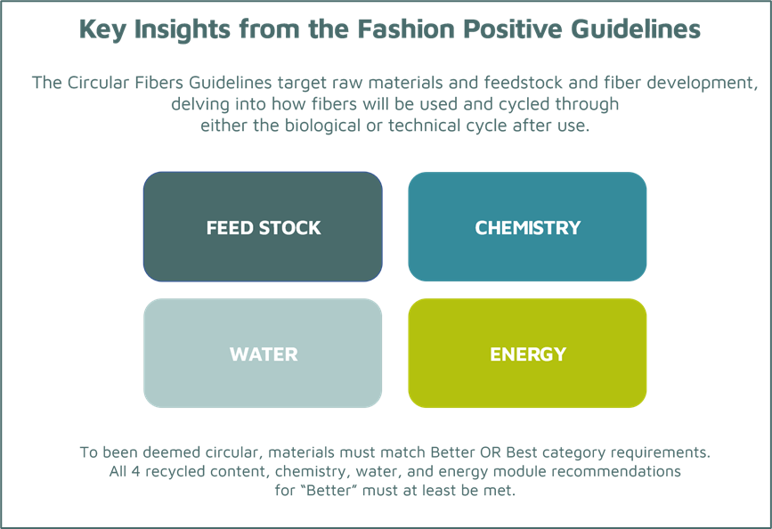 Insight from Fashion Positive Guidelines to mainstream circular fibers