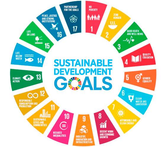 The Wheel of 17 SDG