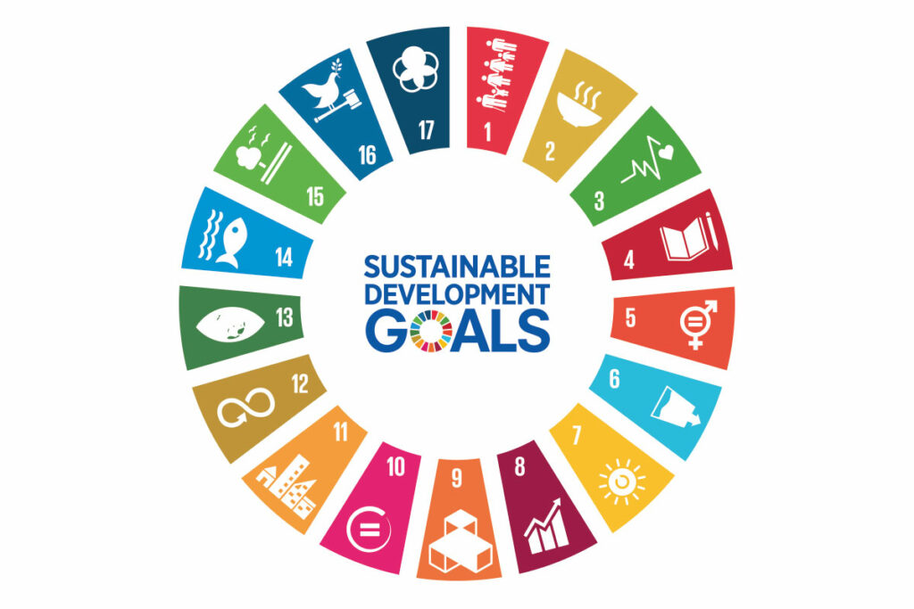 Making SDG Commitments Through Impact Mesurements