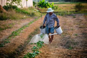 Learn proven training and communication methods that transform smallholder farming practices, based on real program insights