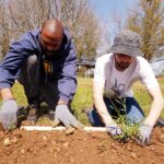 Expert Tina Teucher analyzes how the UN Decade on Ecosystem Restoration presents strategic opportunities and trends for businesses worldwide