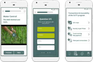 Ksapa analyses the benefits of leveraging impact measurement for regenerative agriculture mainstreaming to smallholders, and shares insights