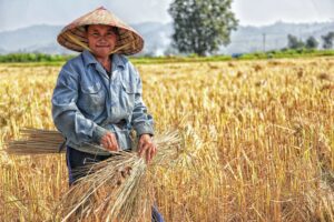 Learn proven principles for including smallholder farmers in agricultural programs, drawn from successful field implementation