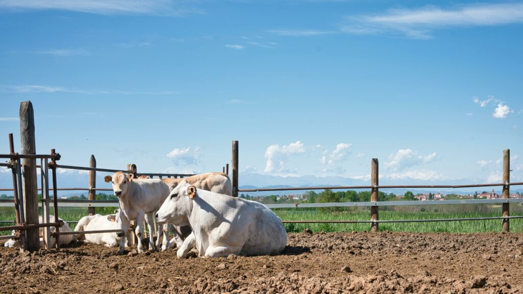How a Food Company Uses ESRS S3 for Better Community Impact