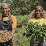 Explore the market status and financing gaps around the Financial Inclusion of Agricultural Cooperatives & SMEs in Africa.