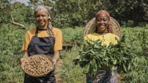 Explore the market status and financing gaps around the Financial Inclusion of Agricultural Cooperatives & SMEs in Africa.
