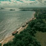 Decode COP30's decisions on carbon markets, trade & just transition. Practical solutions to transform your value chains. Expert guidance.