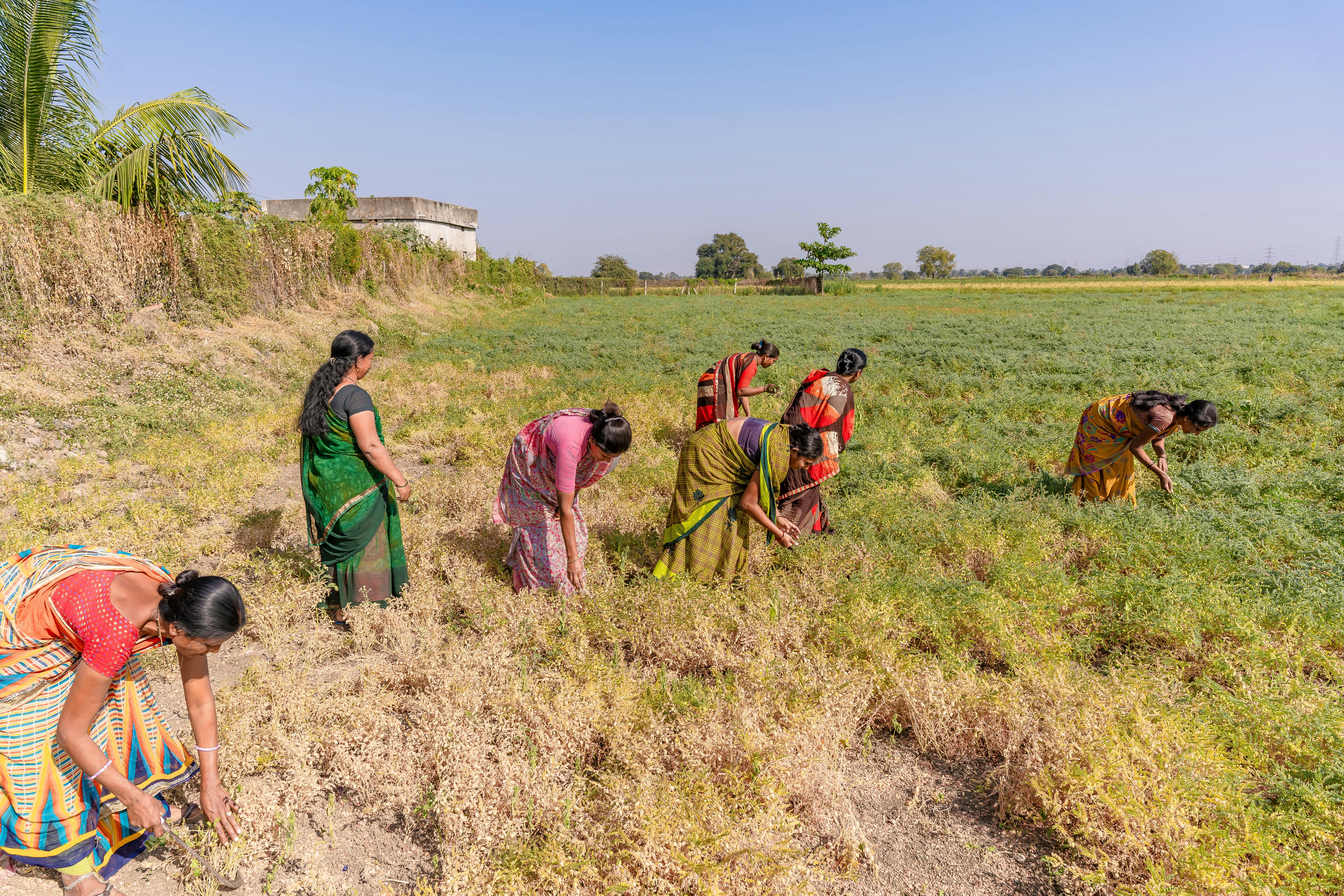 Discover how climate change impacts women worldwide. Explore the hidden gender inequalities in climate action and pathways to justice.