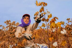 Discover how Ksapa facilitated collaboration among garment-sector initiatives to improve supply chain due diligence and drive credible upstream impact.